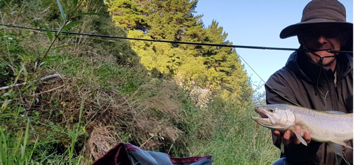 Muchowe Mistrzostwa Koła PZW w Busku-Zdroju